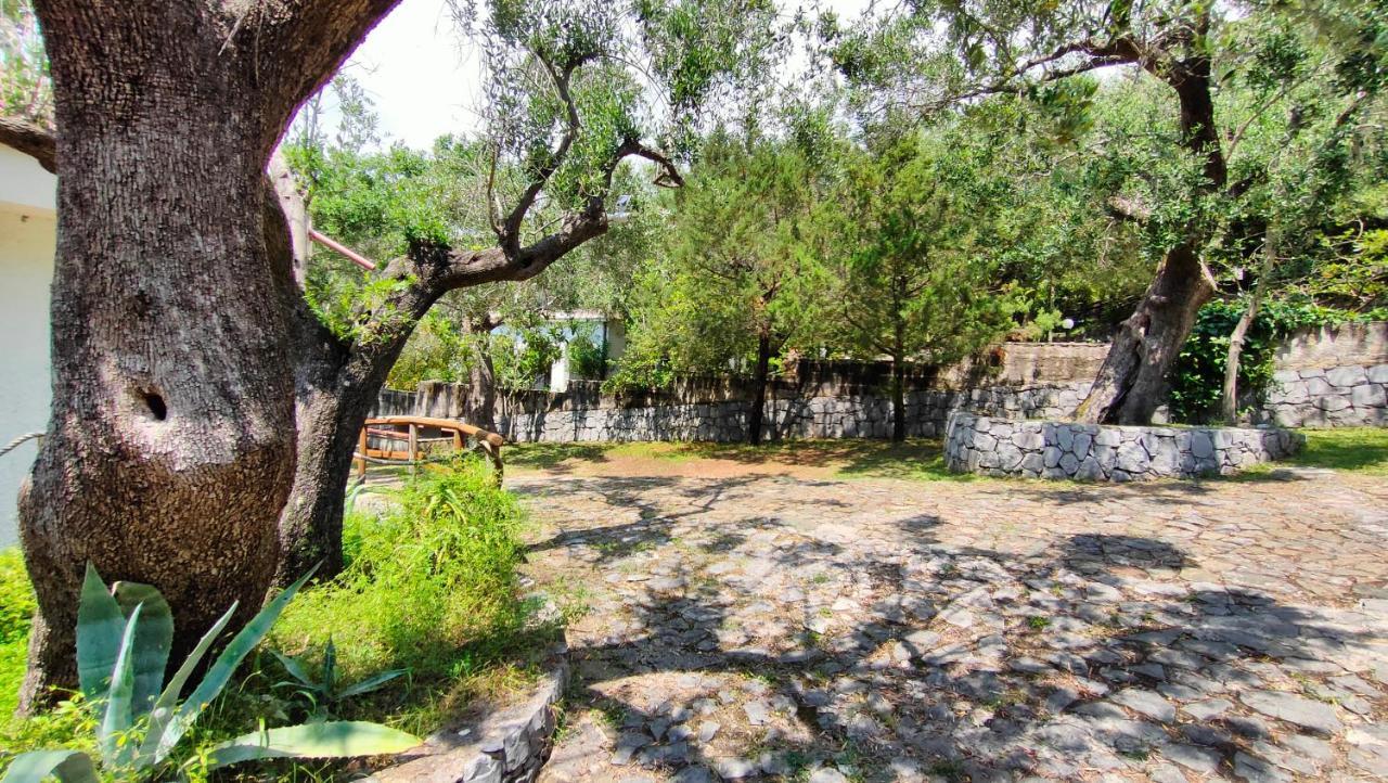 Villa Irma Marina di Camerota Buitenkant foto