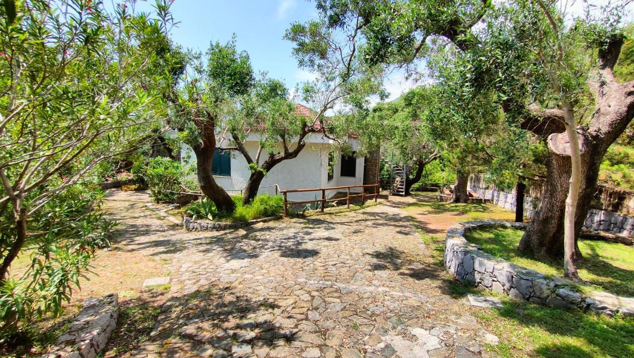 Villa Irma Marina di Camerota Buitenkant foto