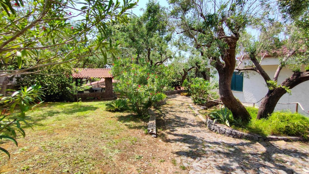Villa Irma Marina di Camerota Buitenkant foto