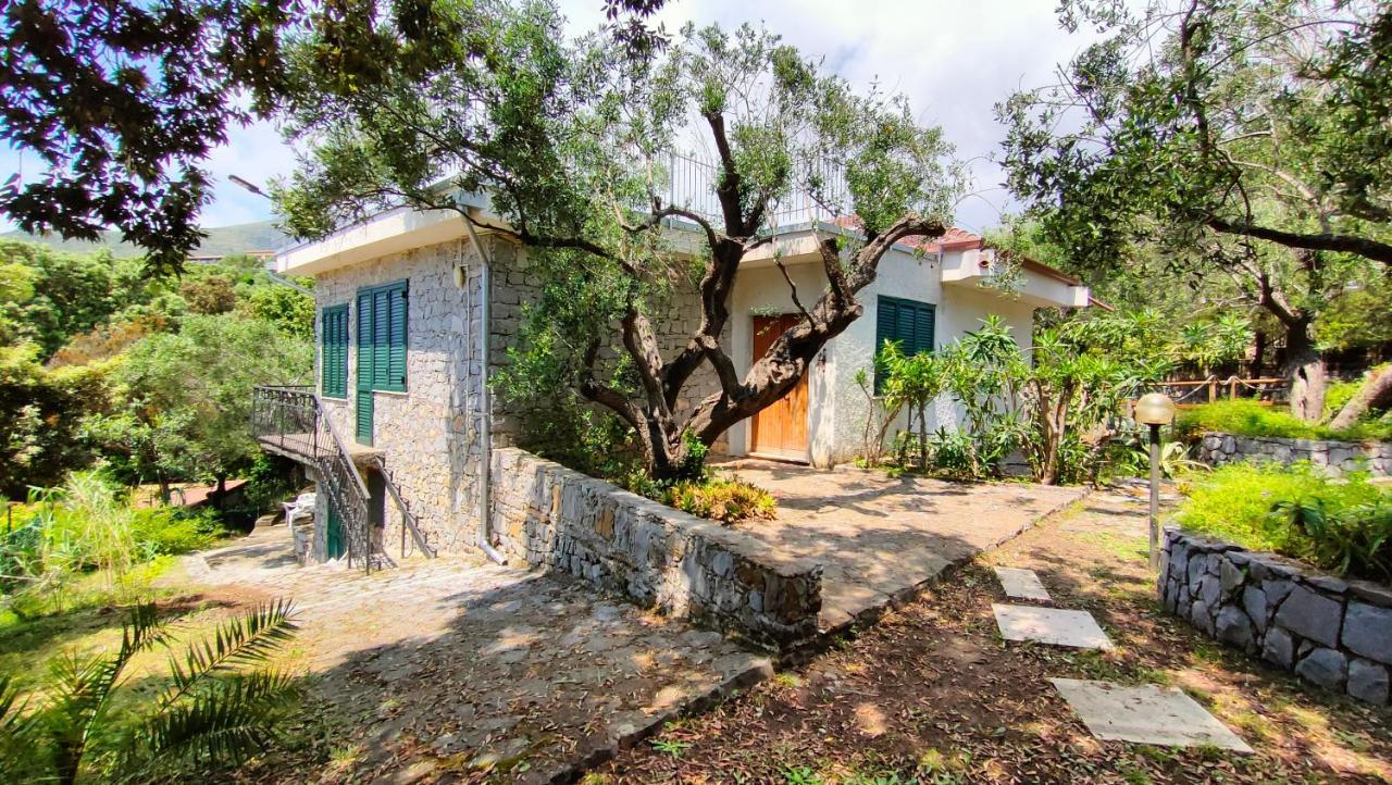 Villa Irma Marina di Camerota Buitenkant foto