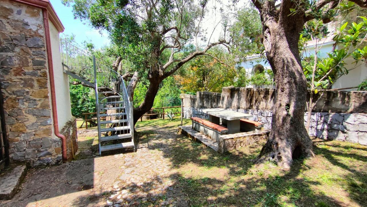 Villa Irma Marina di Camerota Buitenkant foto